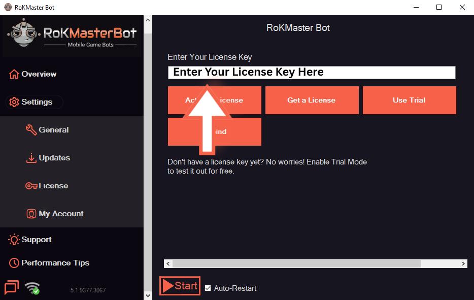 RoKMaster license panel with an empty license key field